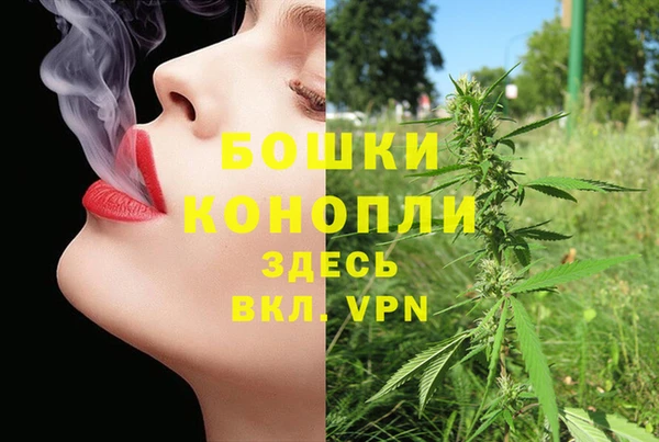 гашик Каменногорск