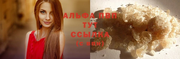 гашик Каменногорск