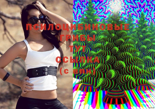 MESCALINE Каменск-Шахтинский