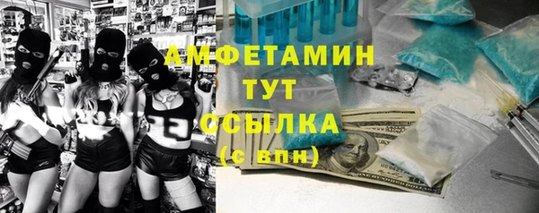 гашик Каменногорск