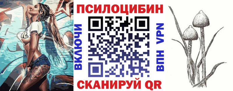 Псилоцибиновые грибы Psilocybe  Купить где  Боровичи 